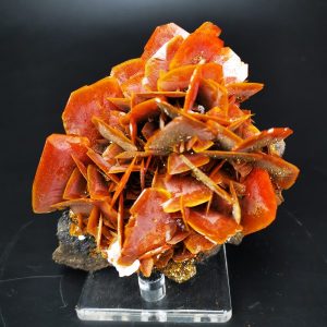 ATTRACTIVE Wulfenite Crystals mineral China